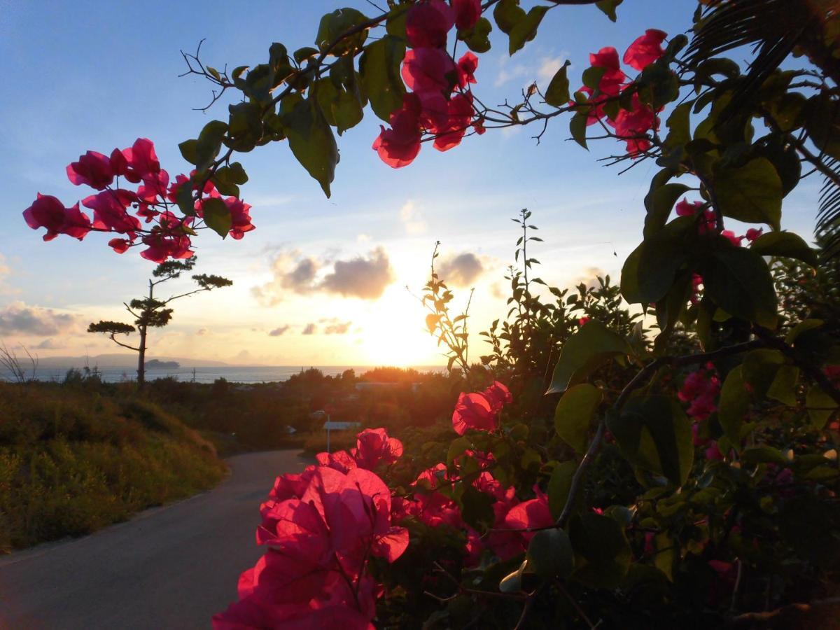 Sakura Resort Hotel Ishigaki Ishigaki  Kültér fotó